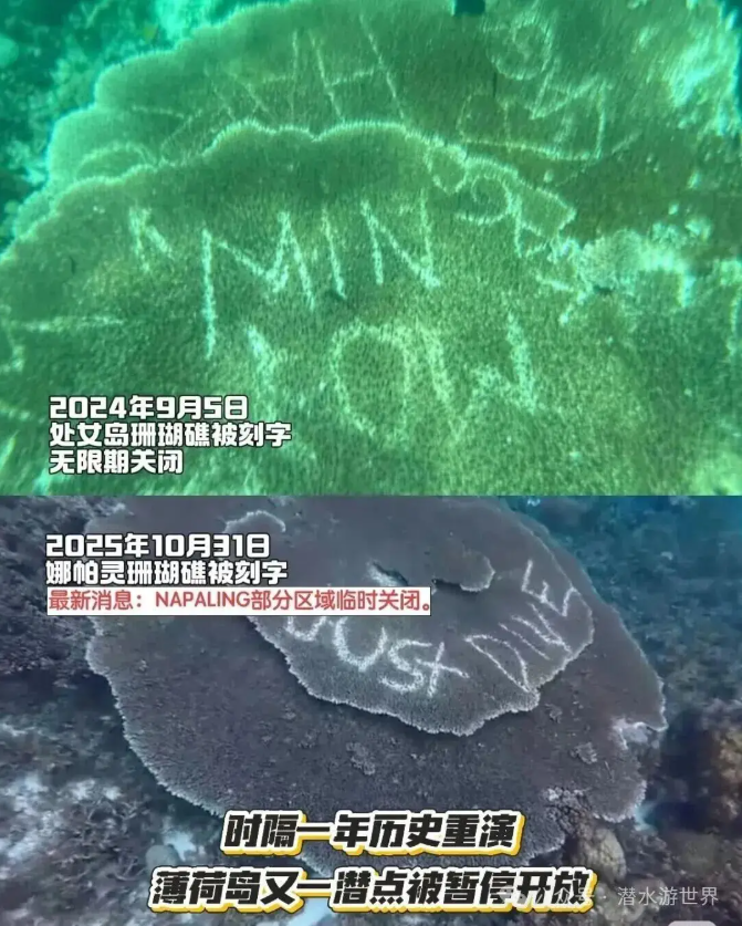 企业微信截图_20251107160234.png