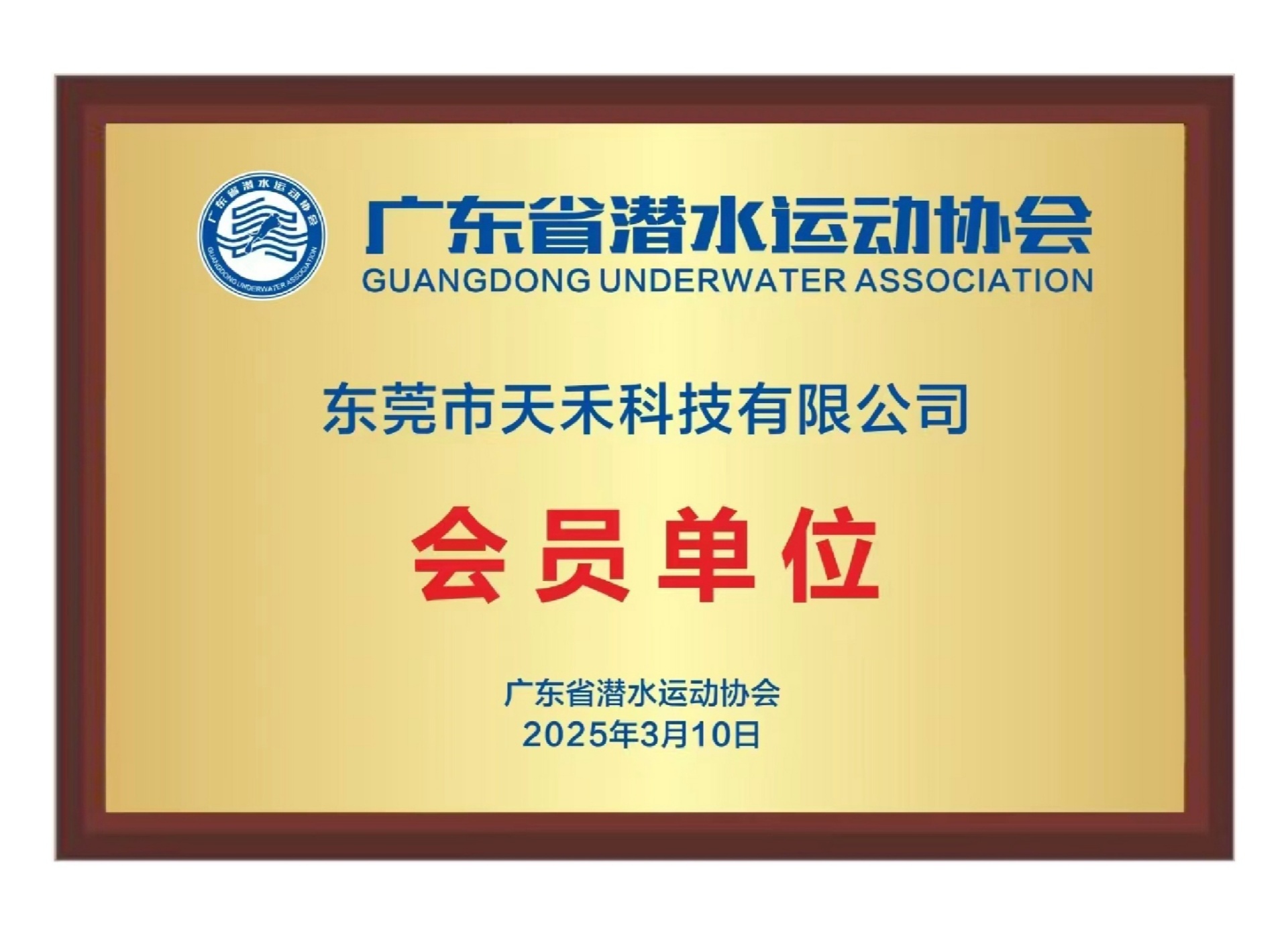 广东省潜水运动协会